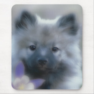 Keeshond and Columbine - Dog Photograph Mouse Pad