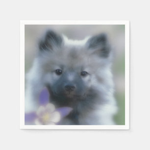 Keeshond and Columbine  - Dog Photograph Napkin