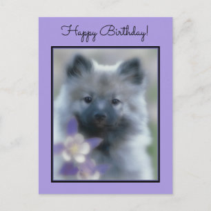 Keeshond and Columbine  - Dog Photograph Postcard