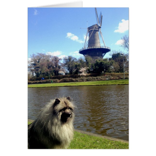 Keeshond and Dutch Windmill (Front)