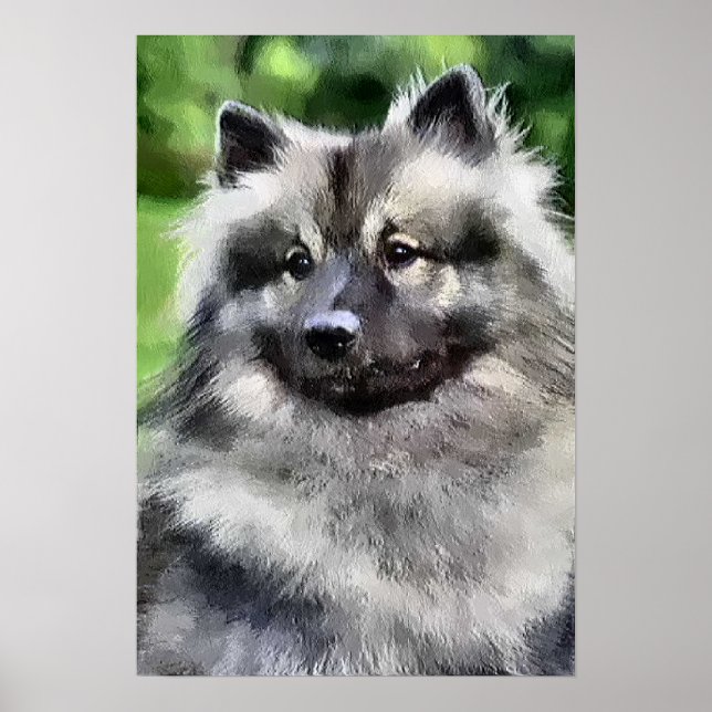 Keeshond Art Print (Front)