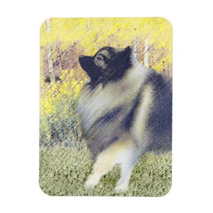 Keeshond Aspen Painting - Cute Original Dog Art Magnet