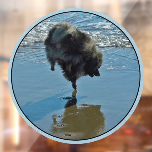 Keeshond Ballet Photograph - Cute Original Dog Art