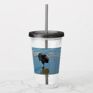 Keeshond Ballet Photograph - Cute Original Dog Art Acrylic Tumbler