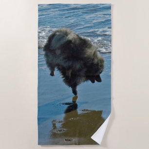 Keeshond Ballet Photograph - Cute Original Dog Art Beach Towel