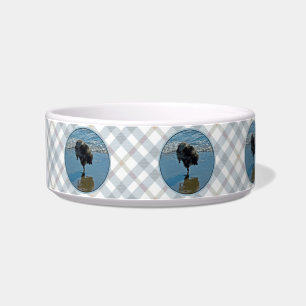 Keeshond Ballet Photograph - Cute Original Dog Art Bowl