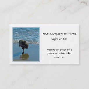 Keeshond Ballet Photograph - Cute Original Dog Art Business Card