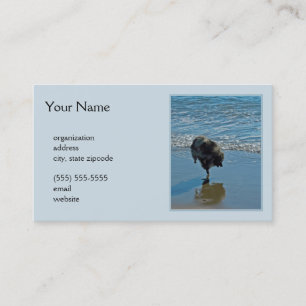 Keeshond Ballet Photograph - Cute Original Dog Art Business Card