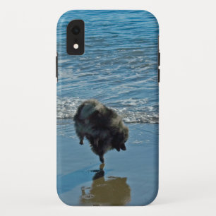 Keeshond Ballet Photograph - Cute Original Dog Art Case-Mate iPhone Case