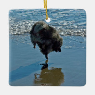 Keeshond Ballet Photograph - Cute Original Dog Art Ceramic Ornament