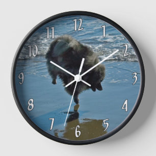 Keeshond Ballet Photograph - Cute Original Dog Art Clock