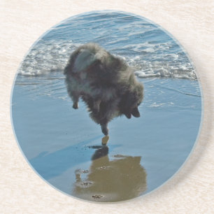 Keeshond Ballet Photograph - Cute Original Dog Art Coaster