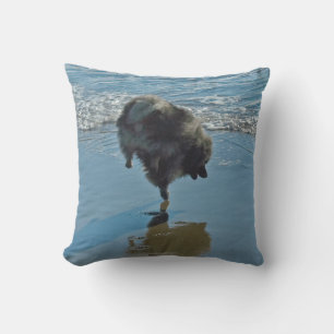 Keeshond Ballet Photograph - Cute Original Dog Art Cushion