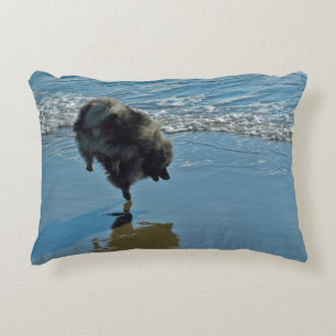 Keeshond Ballet Photograph - Cute Original Dog Art Decorative Cushion