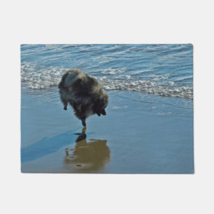 Keeshond Ballet Photograph - Cute Original Dog Art Doormat