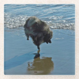 Keeshond Ballet Photograph - Cute Original Dog Art Glass Coaster