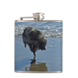 Keeshond Ballet Photograph - Cute Original Dog Art Hip Flask