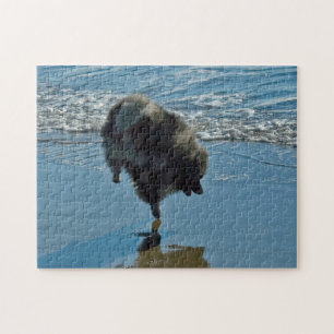 Keeshond Ballet Photograph - Cute Original Dog Art Jigsaw Puzzle