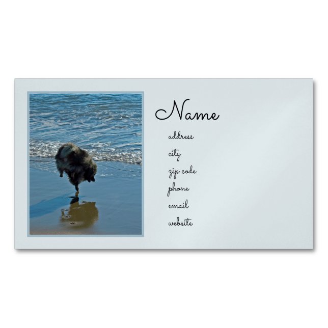 Keeshond Ballet Photograph - Cute Original Dog Art Magnetic Business Card (Front)