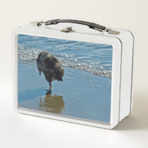 Keeshond Ballet Photograph - Cute Original Dog Art Metal Lunch Box