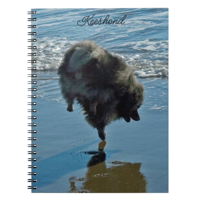 Keeshond Ballet Photograph - Cute Original Dog Art Notebook (Front)