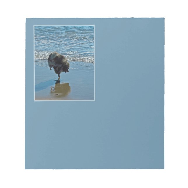 Keeshond Ballet Photograph - Cute Original Dog Art Notepad (Front)