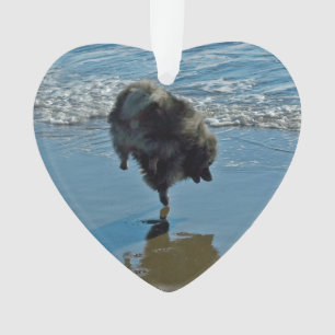 Keeshond Ballet Photograph - Cute Original Dog Art Ornament