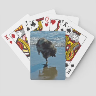 Keeshond Ballet Photograph - Cute Original Dog Art Playing Cards