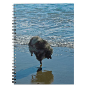 Keeshond Ballet Photograph - Cute Original Dog Art Spiral Notebook