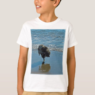 Keeshond Ballet Photograph - Cute Original Dog Art T-Shirt
