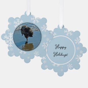 Keeshond Ballet Photograph - Cute Original Dog Art Tree Decoration Card