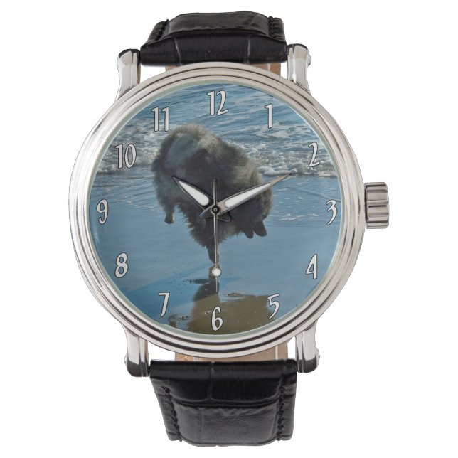 Keeshond Ballet Photograph - Cute Original Dog Art Watch (Front)