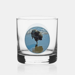 Keeshond Ballet Photograph - Cute Original Dog Art Whiskey Glass