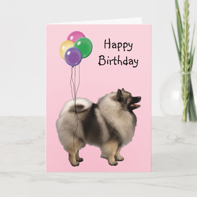 Keeshond, Birthday Balloons Card (Front)
