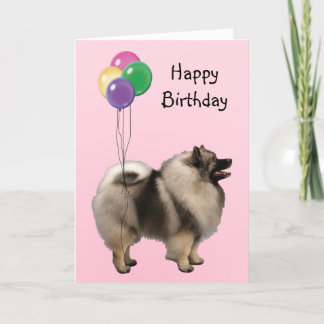 Keeshond, Birthday Balloons Card