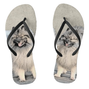 Keeshond Brothers Painting - Original Dog Art Jandals