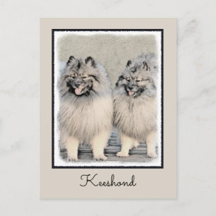 Keeshond Brothers Painting - Original Dog Art Postcard