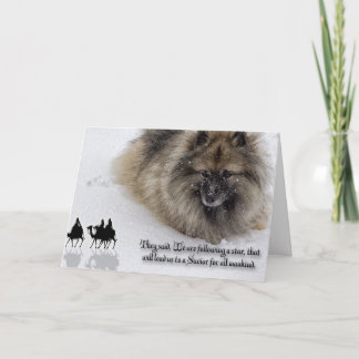 Keeshond Christmas card "Three Wise Men"
