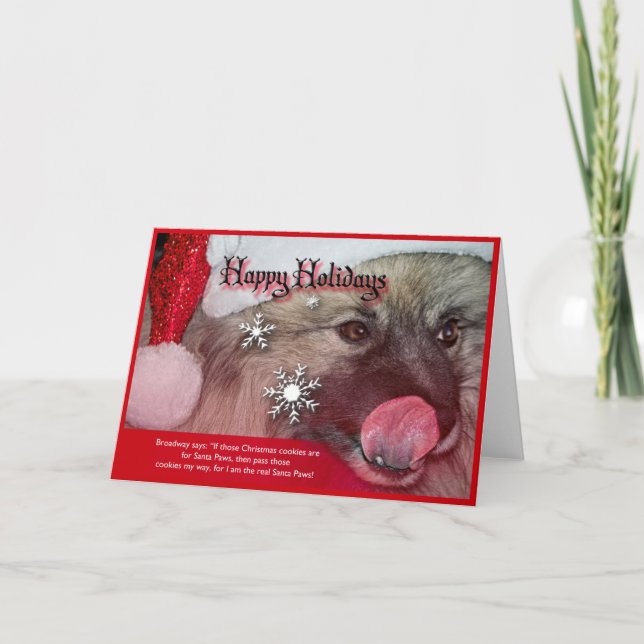keeshond christmas cards (Front)