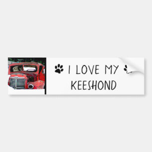 Keeshond Christmas Old Truck Painting Dog Art Bumper Sticker