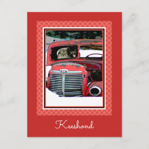 Keeshond Christmas Old Truck Painting Dog Art Postcard