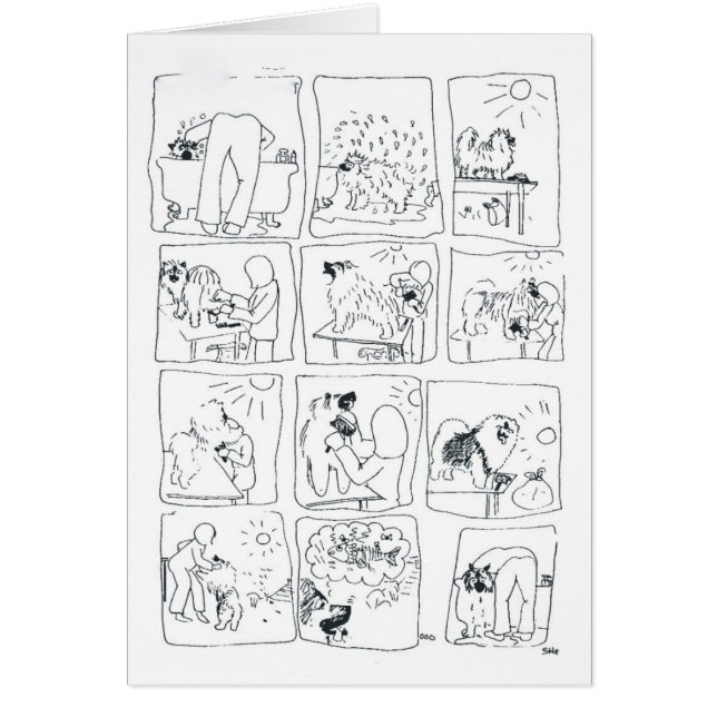 Keeshond comic Bathtime (Front)