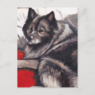 Keeshond Dog Art Postcard