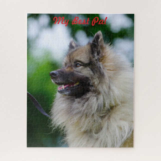 Keeshond Dog. Jigsaw Puzzle (Vertical)