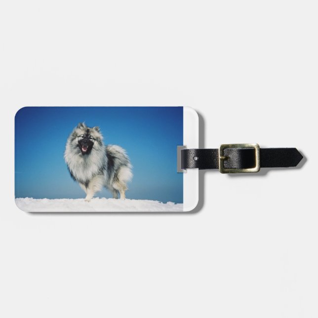 keeshond full in snow.png luggage tag (Front Horizontal)
