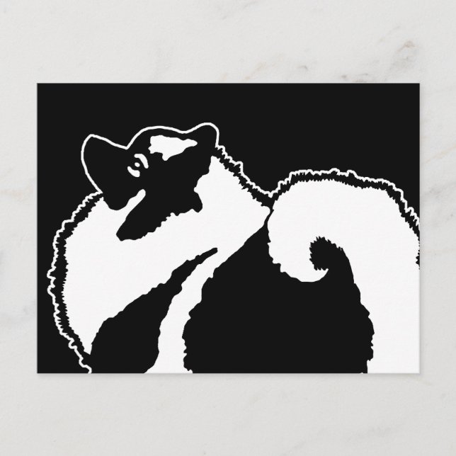 Keeshond Graphics  - Cute Original Dog Art Postcard (Front)