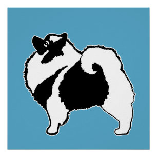 Keeshond Graphics - Cute Original Dog Art Poster