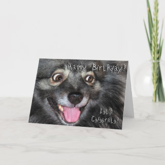 Keeshond Happy Birthday greeting card