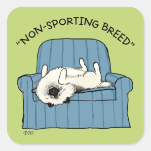 Keeshond Non-Sporting Breed   Funny Keesie Dog Square Sticker
