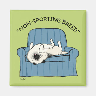 Keeshond "Non-Sporting Breed" Humourous Keesie Magnet